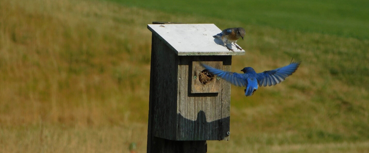 CERTIFIED AUDUBON COOPERATIVE SANCTUARY